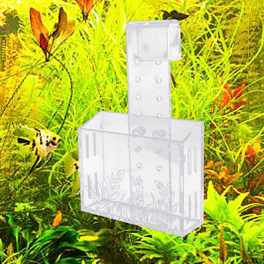 Aquarium Planted Wall - Wall Hanging Aquarium Plants Cup Transparent