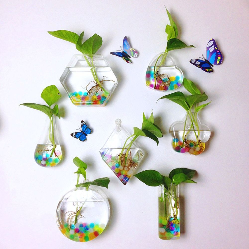 Aquarium Planted Wall - Cone Shape Wall Hanging Vase Hydroponics