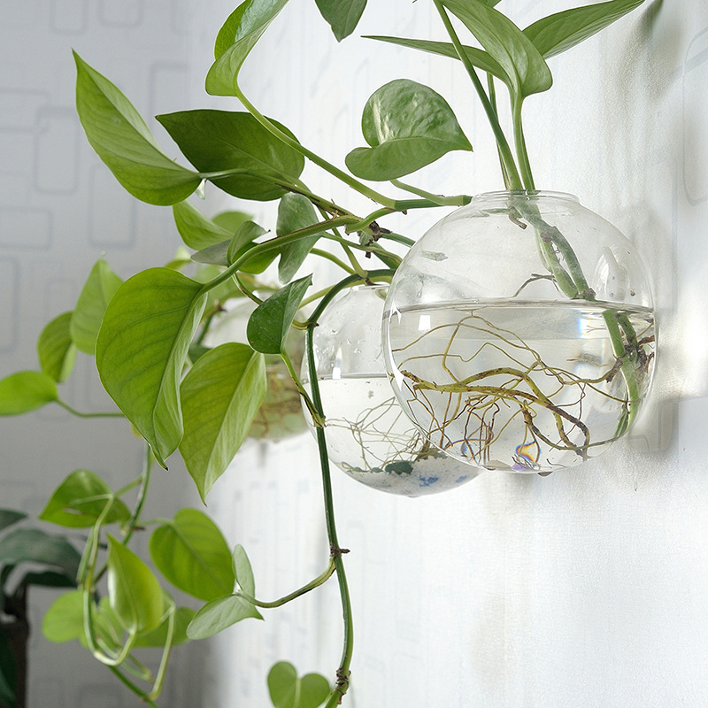Aquarium Planted Wall - Wall Hanging Acrylic Fish Bowl Plexiglass