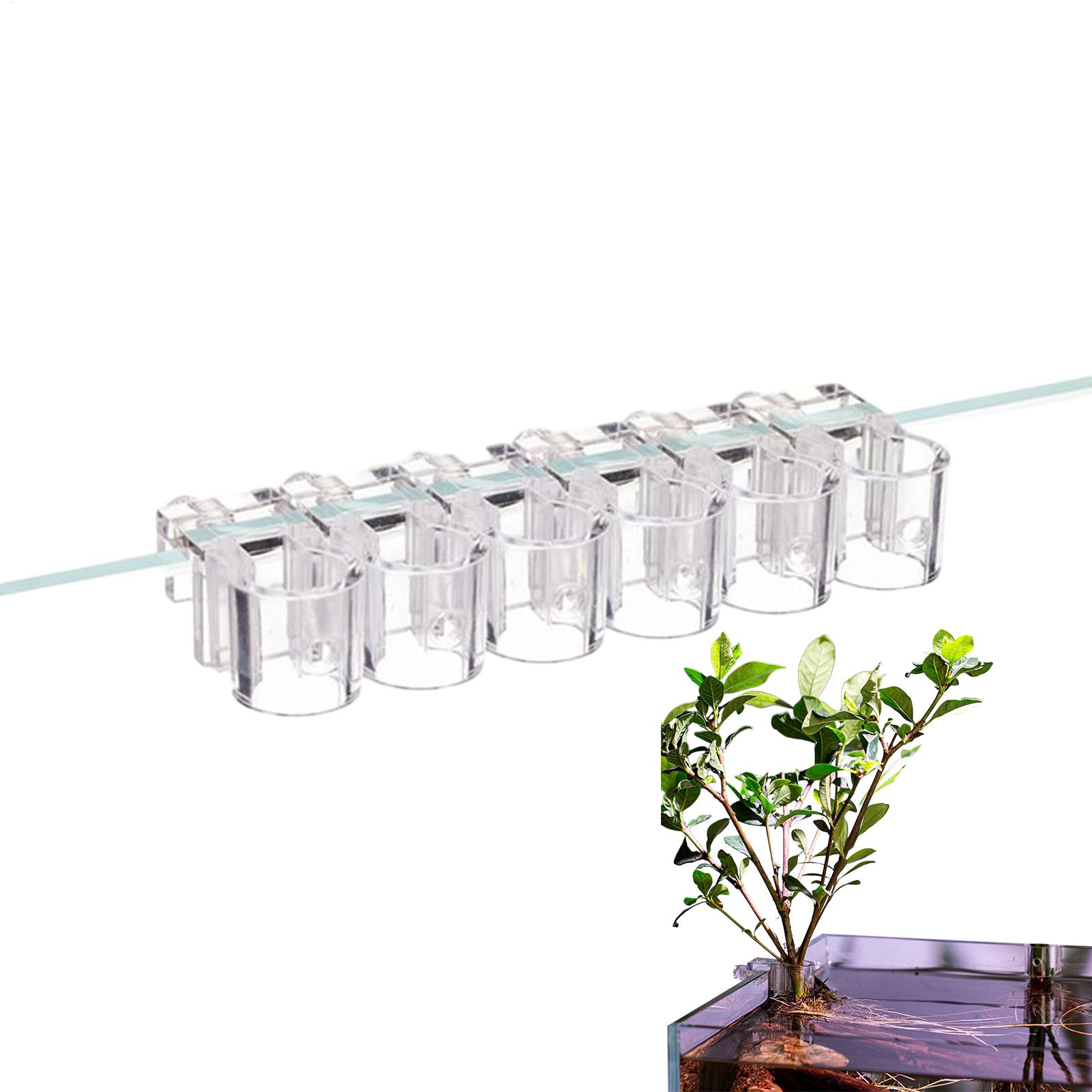 Aquarium Plant Rings - Aquarium Plant Basket Transparent Fish Tank