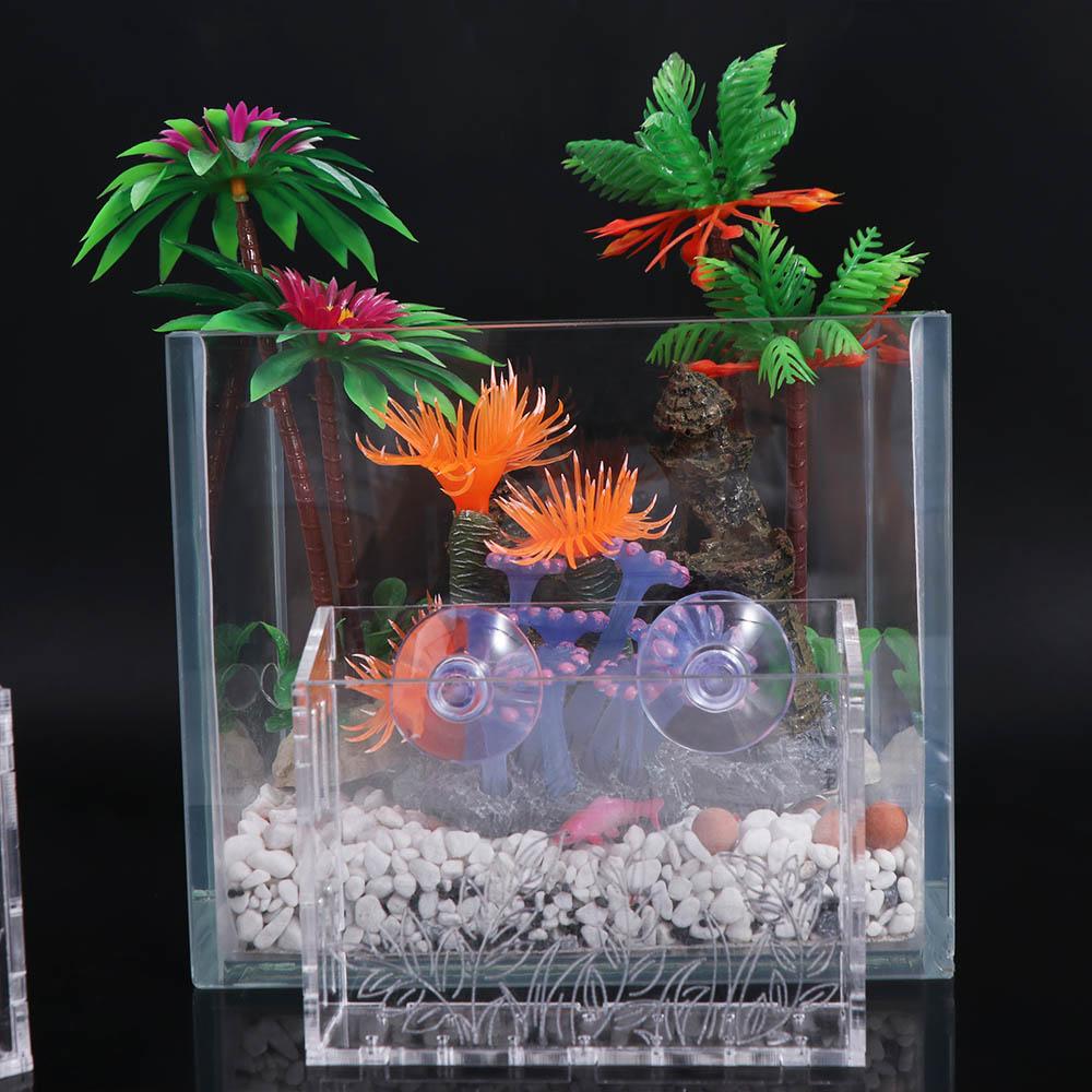 Wall Hanging Aquarium Plants C - Aquarium Planted Wall recension och pris