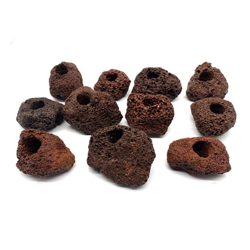 Volcanic Aquarium Decoration F - Aquarium Plant Rings recension och pris