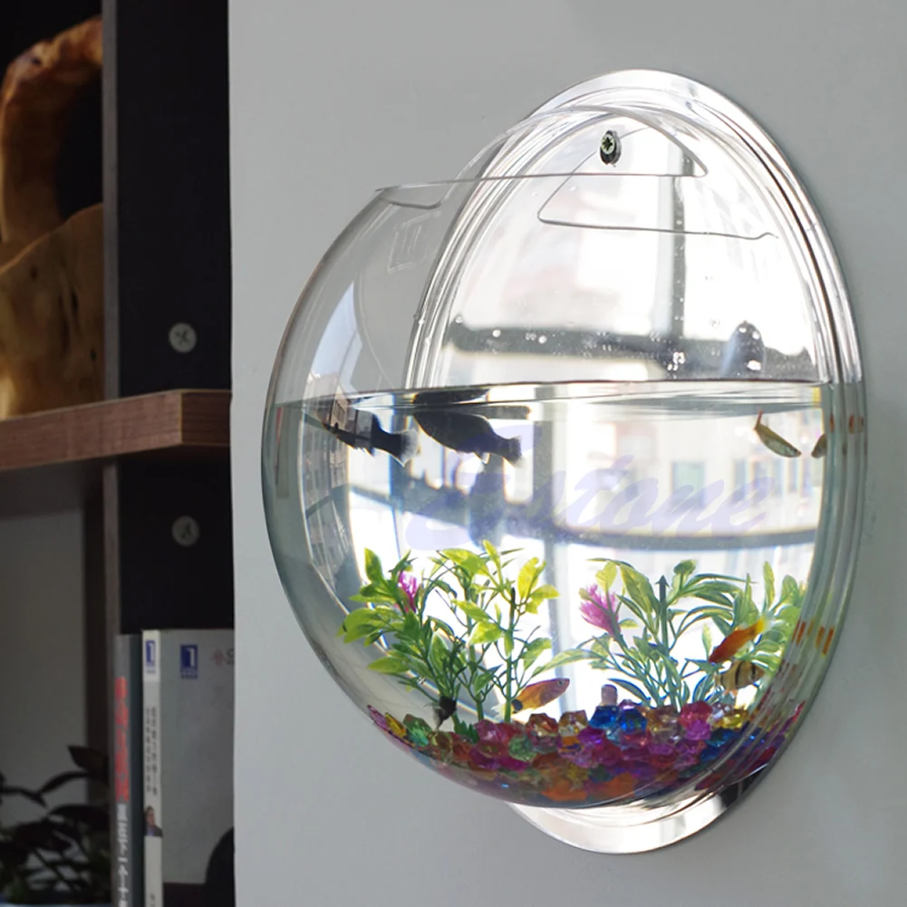 Wall Mounted Acrylic Fish Bowl - Aquarium Planted Wall recension och pris