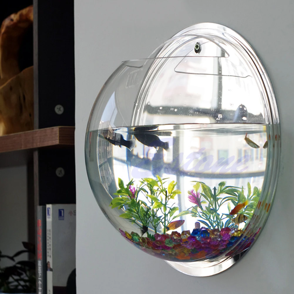 Wall Mounted Acrylic Fish Bowl - Aquarium Planted Wall recension och pris