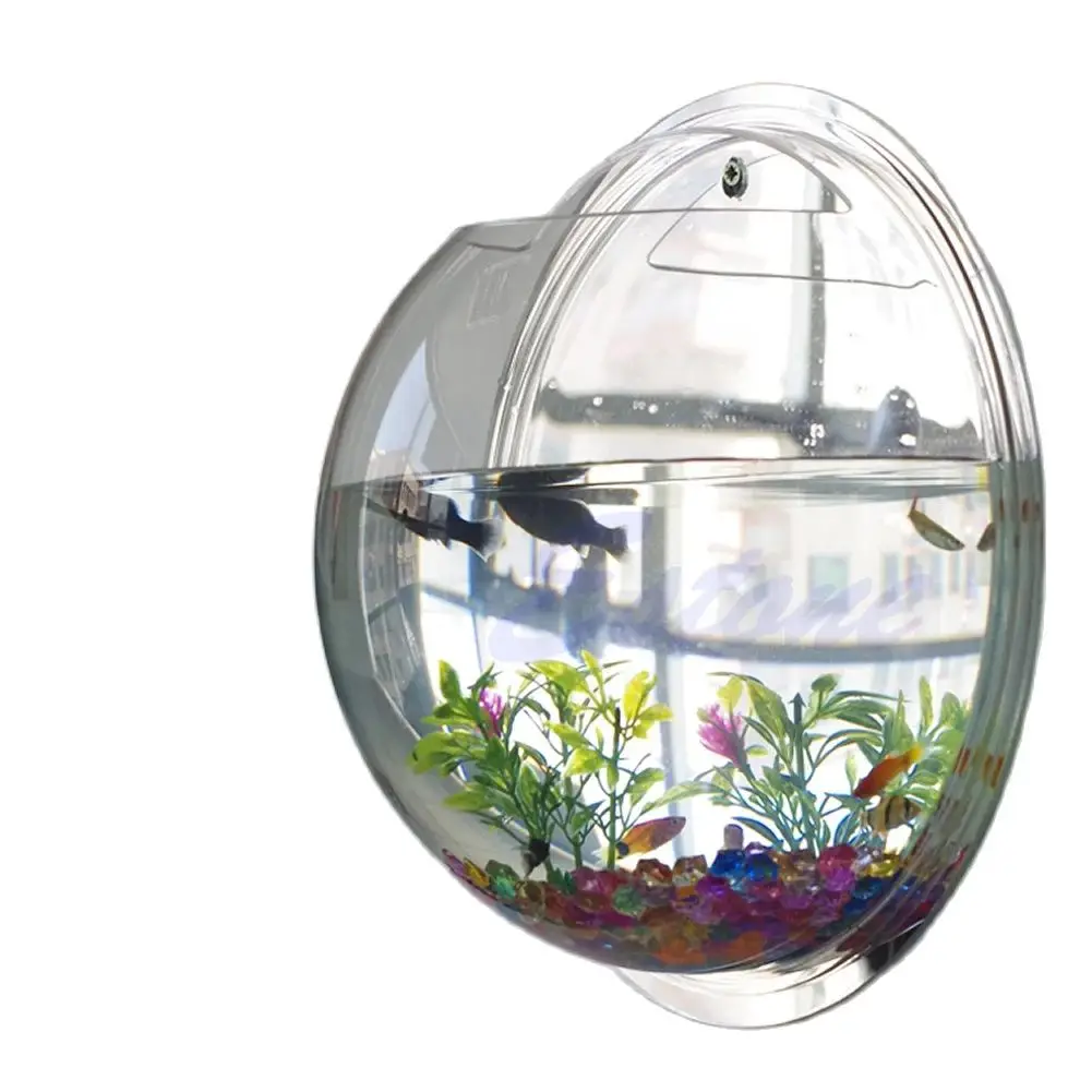 Wall Mounted Acrylic Fish Bowl - Aquarium Planted Wall recension och pris