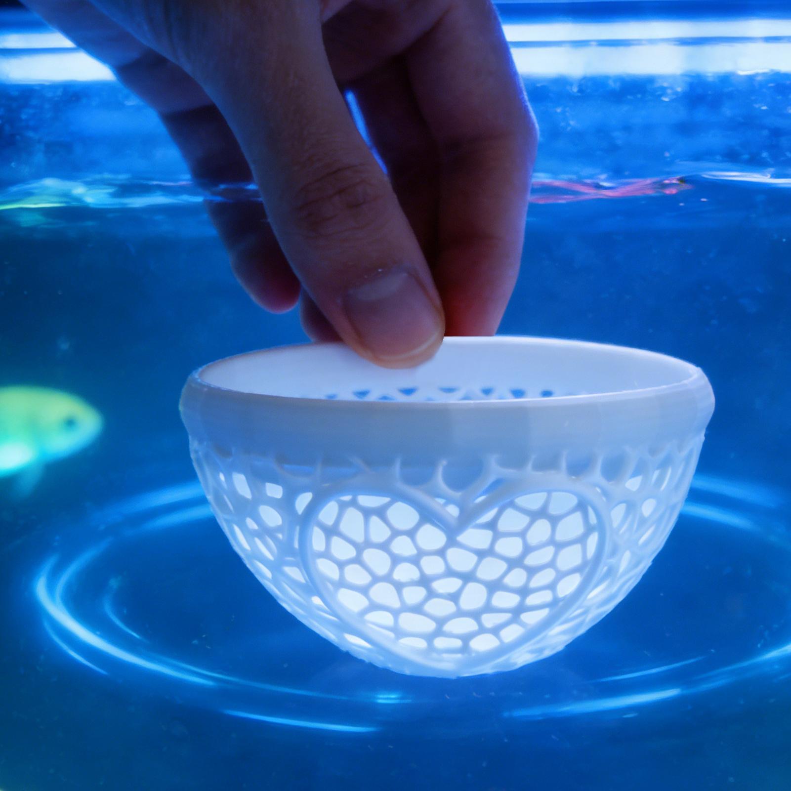 Floating betta shelter Betta h - Planted Aquarium Betta recension och pris