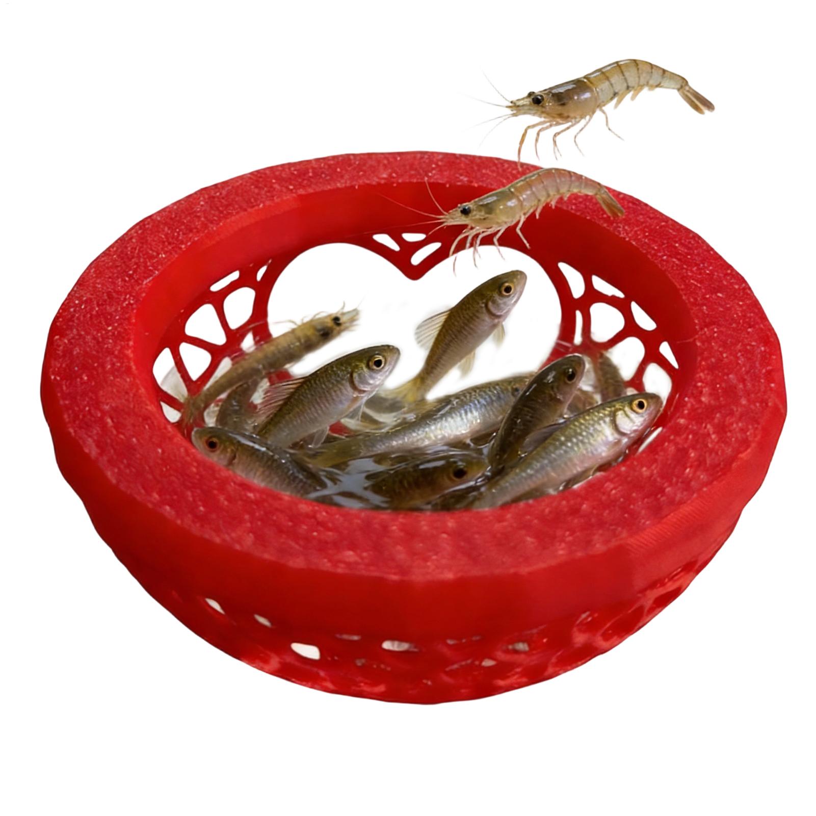 Floating betta shelter Betta h - Planted Aquarium Betta recension och pris