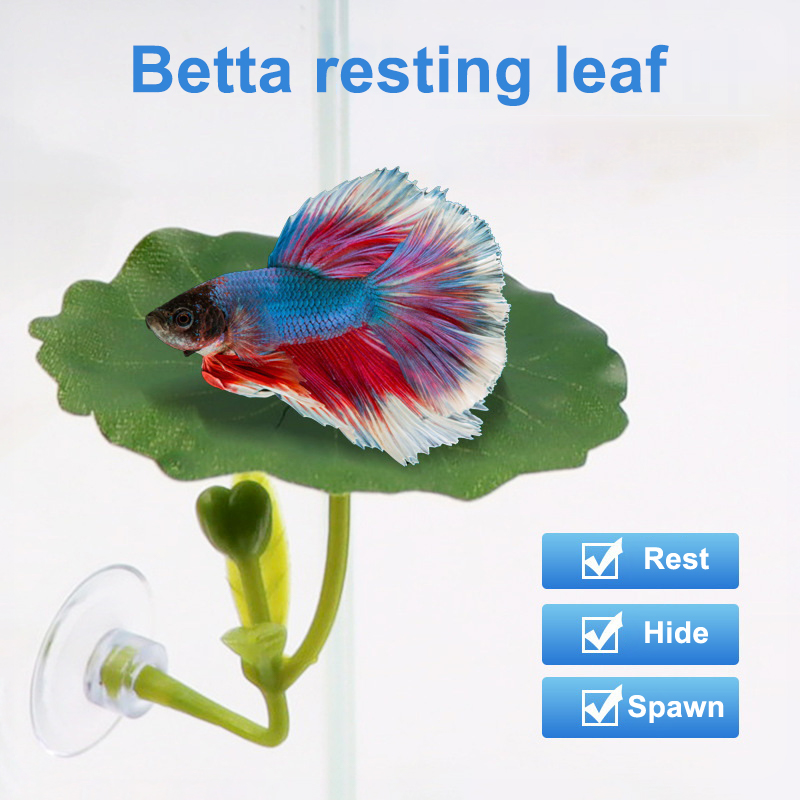 1 Pc Green Leaf Hammock For Be - Planted Aquarium Betta recension och pris