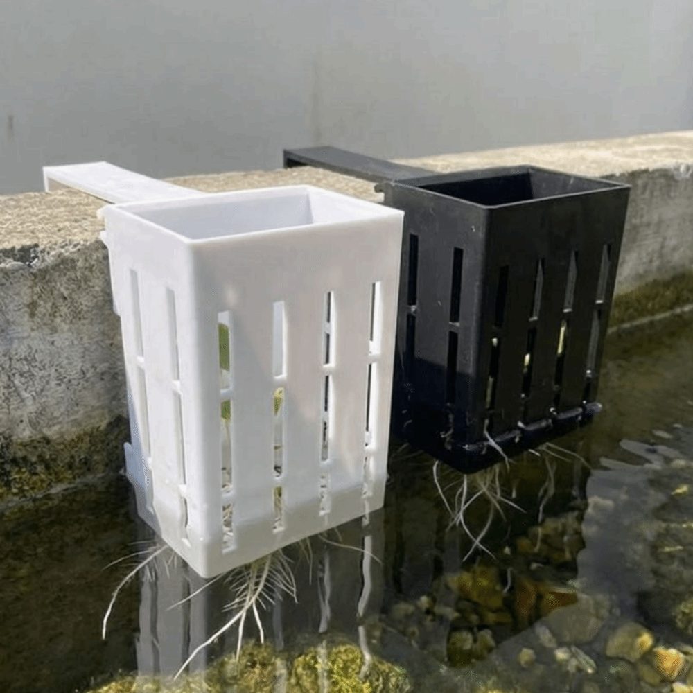 Wall-Mounted Aquarium Plant Ba - Aquarium Planted Wall recension och pris