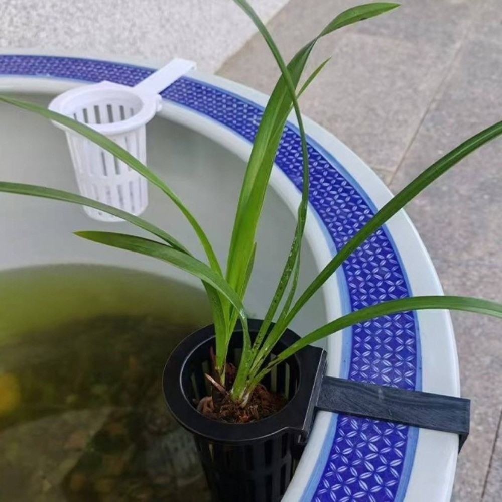Wall-Mounted Aquarium Plant Ba - Aquarium Planted Wall recension och pris