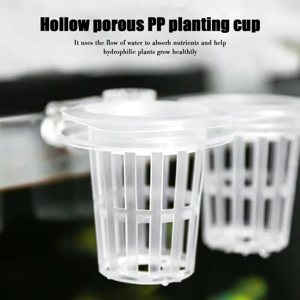 Aquarium Plant Holder Wall-Mou - Aquarium Planted Wall recension och pris