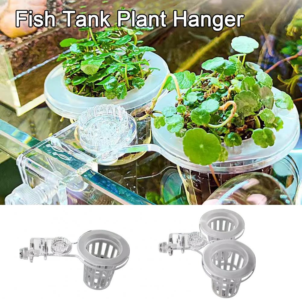 Aquarium Plant Holder Wall-Mou - Aquarium Planted Wall recension och pris