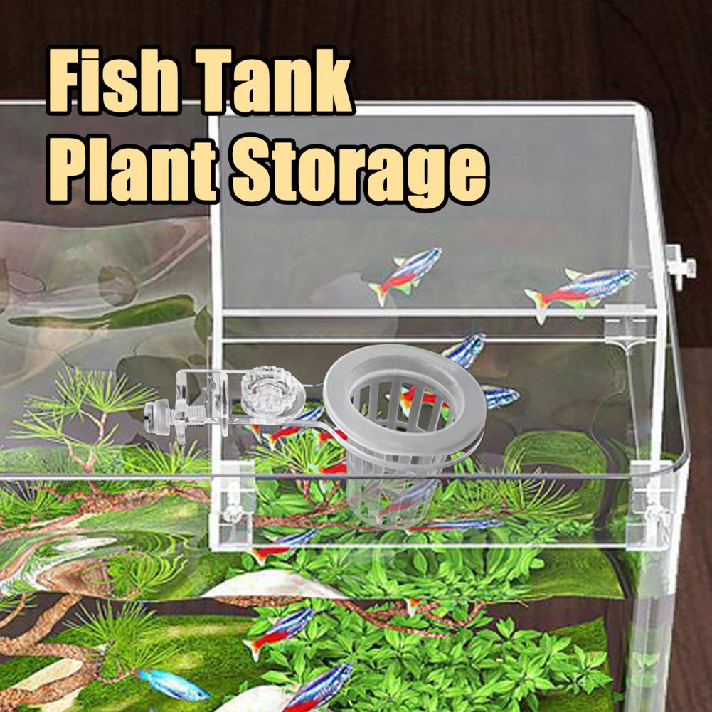 Aquarium Plant Holder Wall-Mou - Aquarium Planted Wall recension och pris