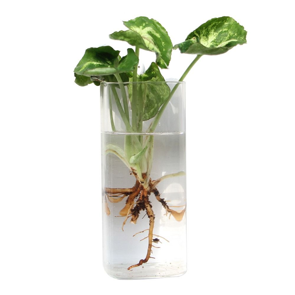 Cone Shape Wall Hanging Vase T - Aquarium Planted Wall recension och pris
