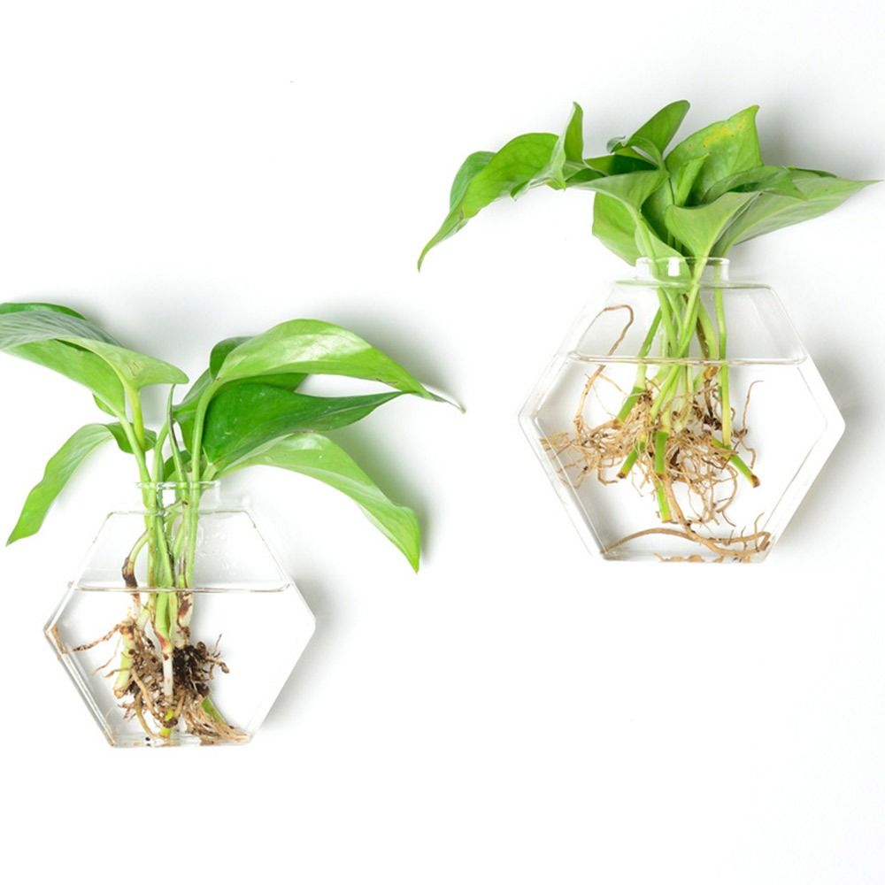 Cone Shape Wall Hanging Vase T - Aquarium Planted Wall recension och pris