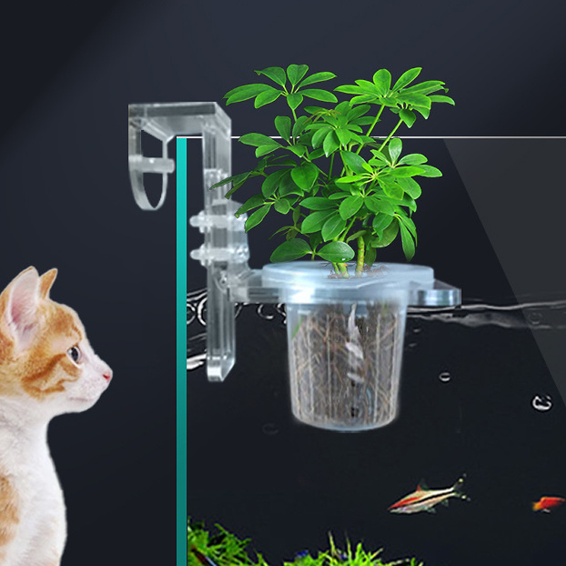 Fish Tank Planting Cups Hydrop - Aquarium Planted Wall recension och pris