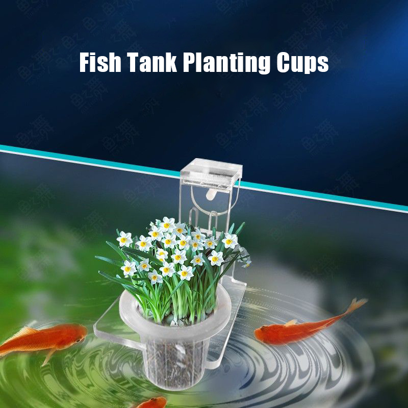 Fish Tank Planting Cups Hydrop - Aquarium Planted Wall recension och pris