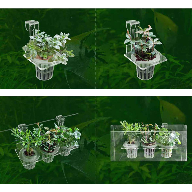 Fish Tank Planting Cups Hydrop - Aquarium Planted Wall recension och pris