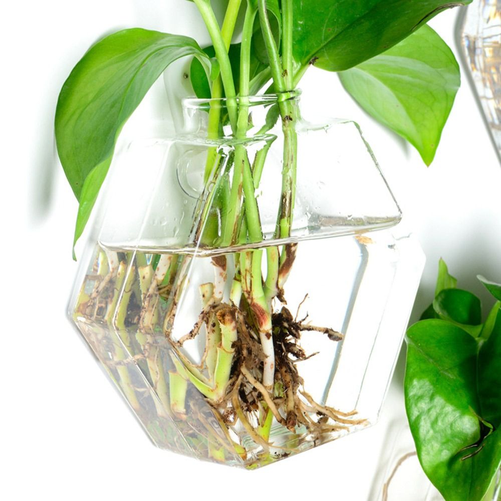 Cone Shape Wall Hanging Vase H - Aquarium Planted Wall recension och pris