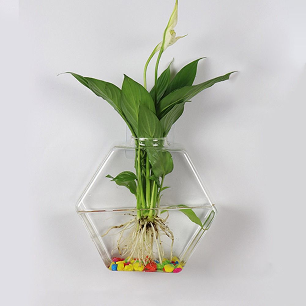 Cone Shape Wall Hanging Vase H - Aquarium Planted Wall recension och pris