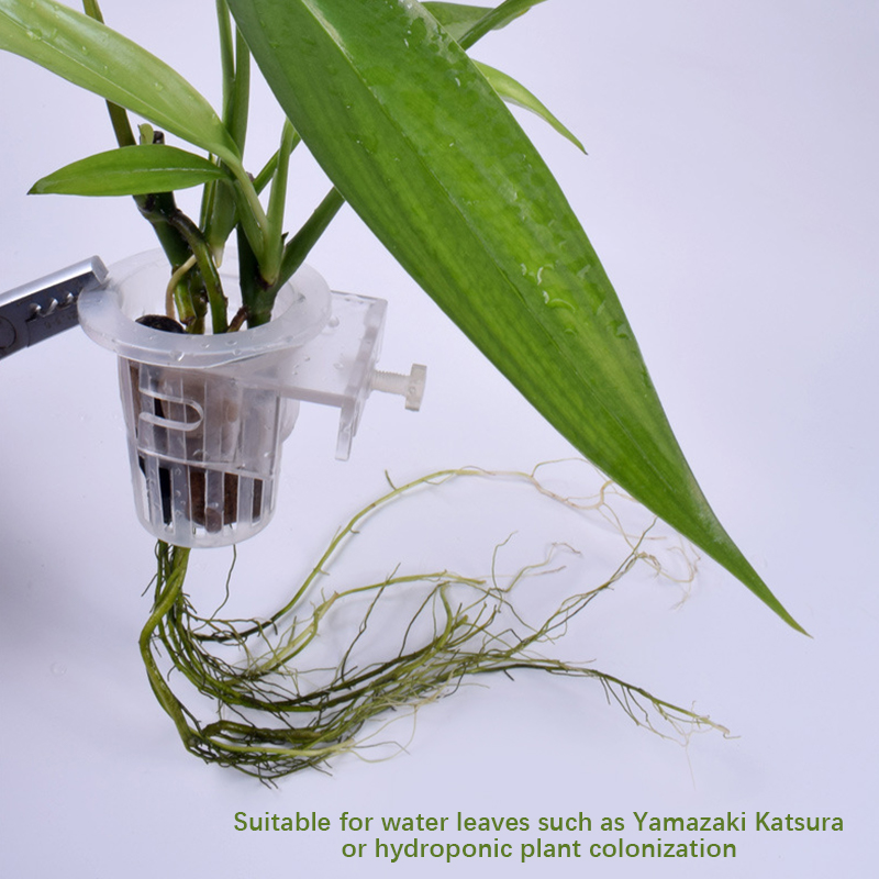 Wall Mounted Aquatic Plant Fix - Aquarium Planted Wall recension och pris