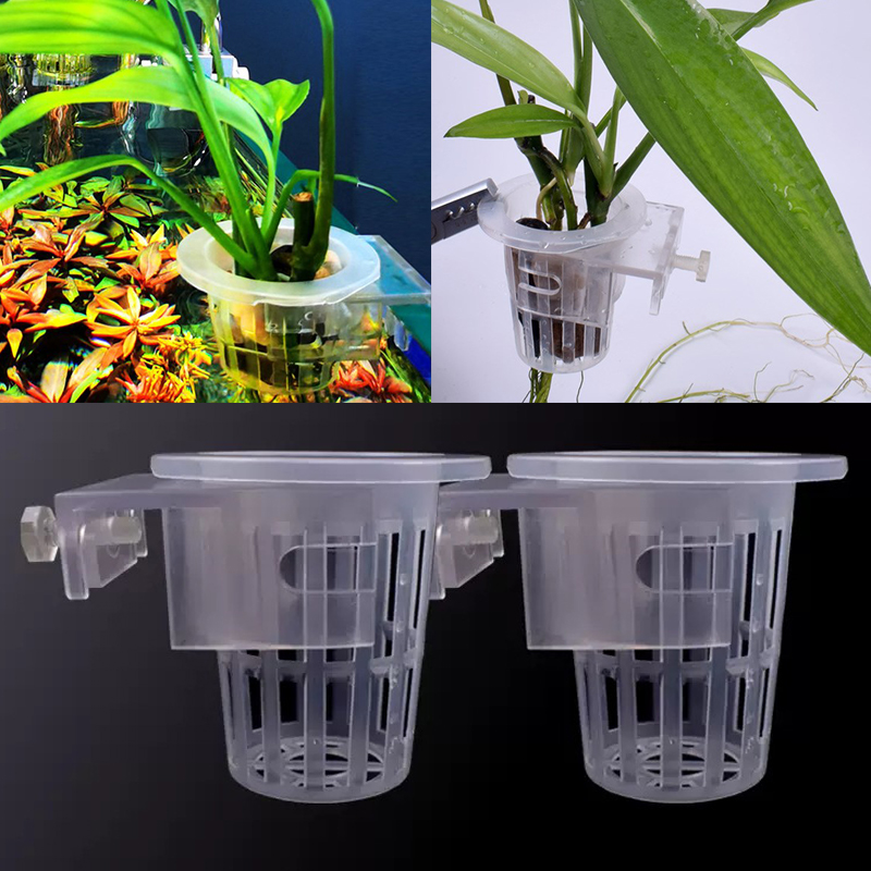 Wall Mounted Aquatic Plant Fix - Aquarium Planted Wall recension och pris