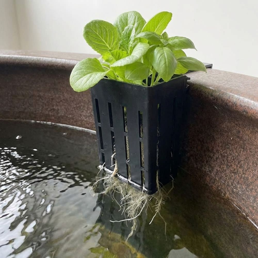 Wall-Mounted Aquarium Plant Ba - Aquarium Planted Wall recension och pris