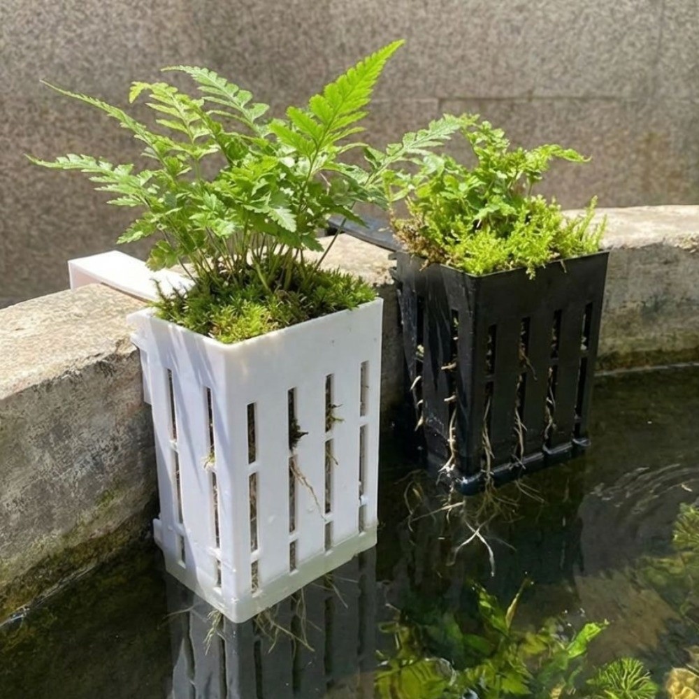 Wall-Mounted Aquarium Plant Ba - Aquarium Planted Wall recension och pris
