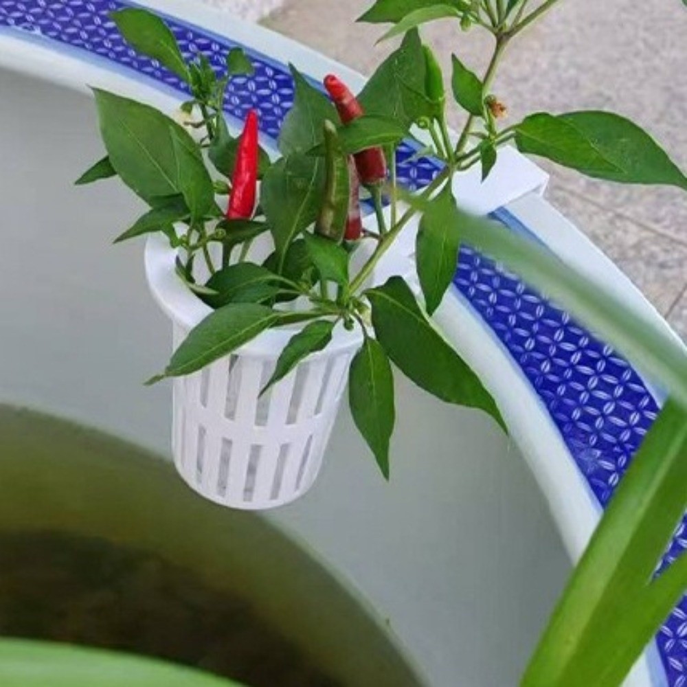 Wall-Mounted Aquarium Plant Ba - Aquarium Planted Wall recension och pris