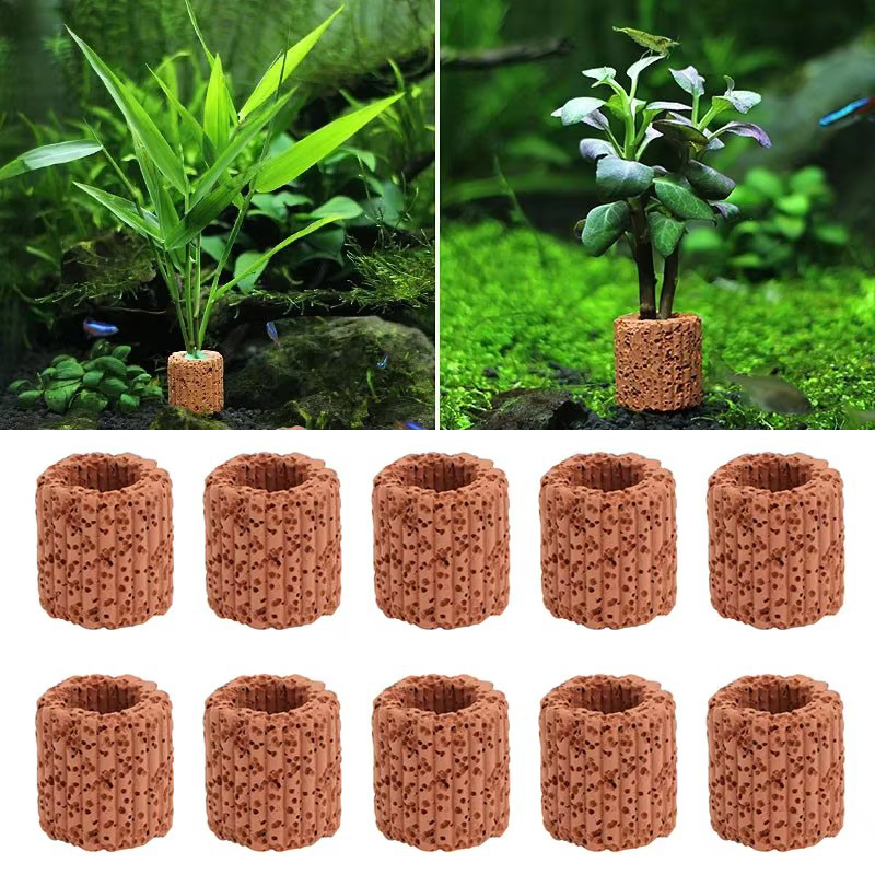 Aquatic Plant Fixed Ring for A - Aquarium Plant Rings recension och pris