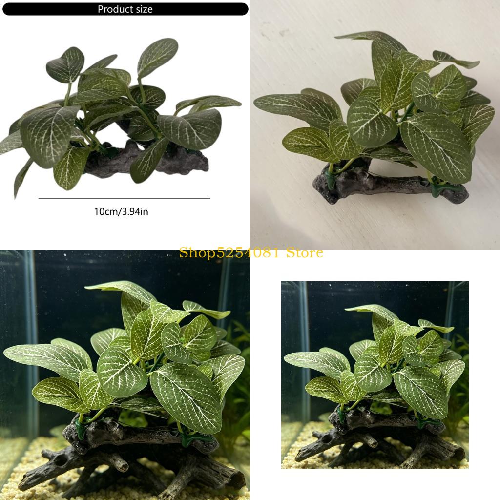 AXYC Artificial Resin Driftwoo - Non Planted Aquarium Fish recension och pris