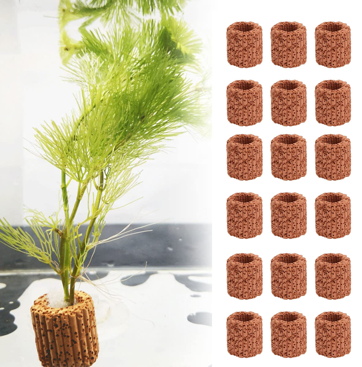 10/20Pcs Aquatic Water Plant F - Aquarium Plant Rings recension och pris