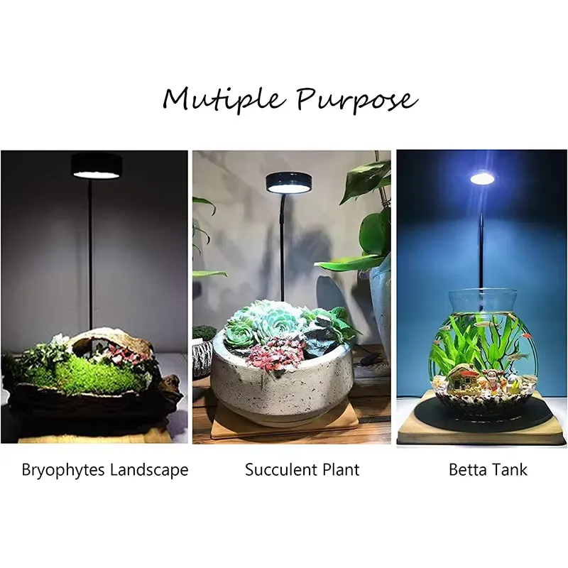 Full Spectrum LED Light with B - Planted Aquarium Betta recension och pris