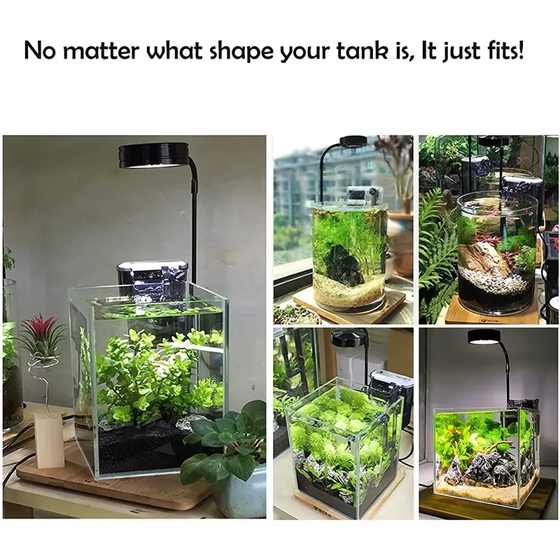 Full Spectrum LED Light with B - Planted Aquarium Betta recension och pris