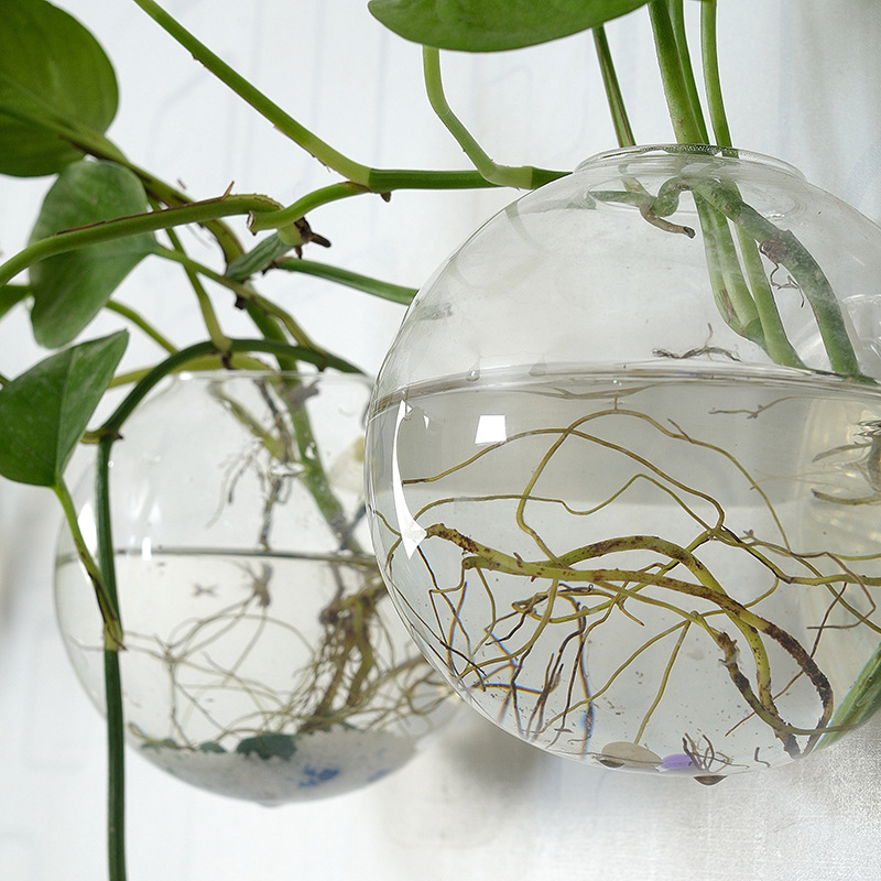 Wall Hanging Acrylic Fish Bowl - Aquarium Planted Wall recension och pris