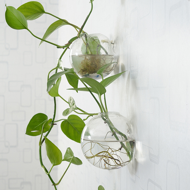 Wall Hanging Acrylic Fish Bowl - Aquarium Planted Wall recension och pris