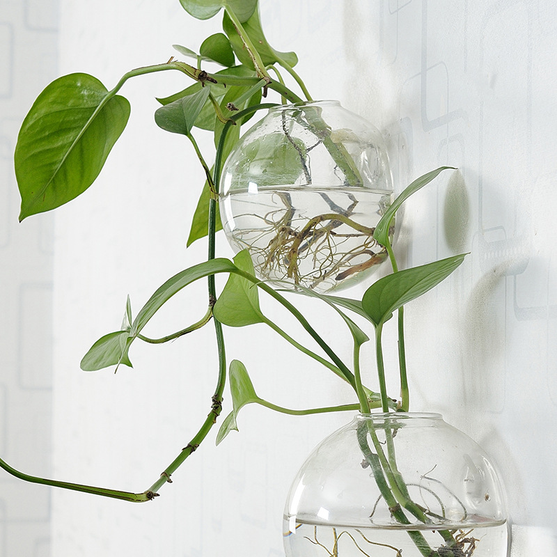 Wall Hanging Acrylic Fish Bowl - Aquarium Planted Wall recension och pris