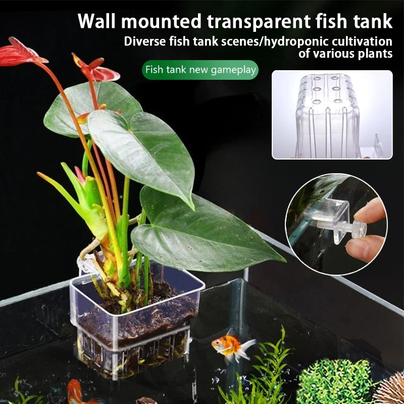 Aquarium Hanging Planter Cups  - Aquarium Planted Wall recension och pris