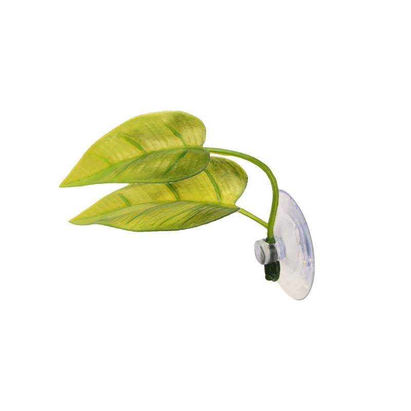 Resting Leaves, Spawning Leave - Planted Aquarium Betta recension och pris