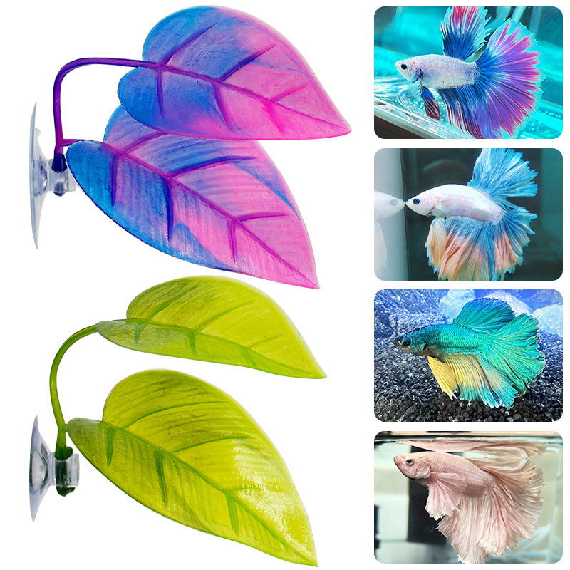 Resting Leaves, Spawning Leave - Planted Aquarium Betta recension och pris
