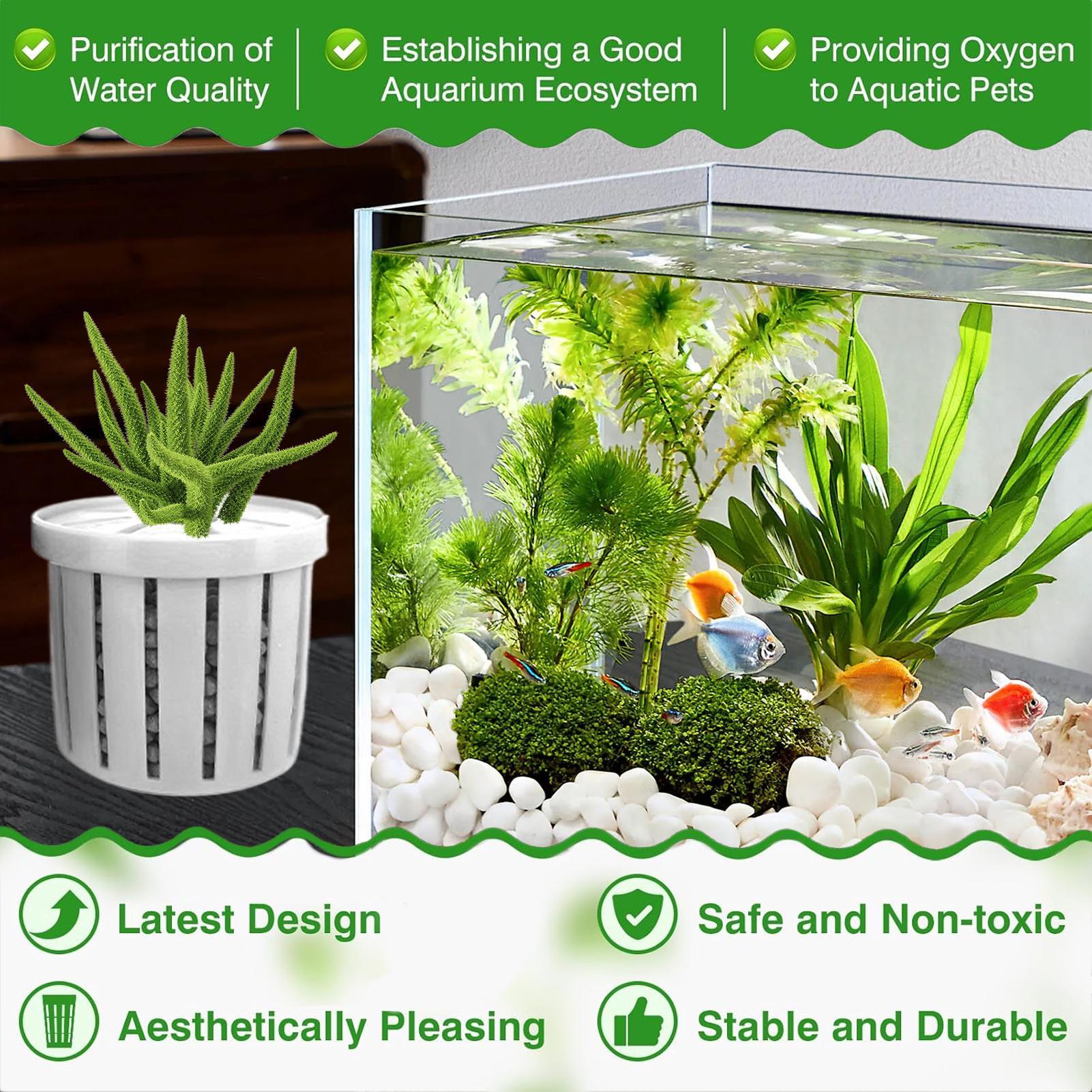 4 Pieces Aquarium Planter Pot  - Aquarium Plant Rings recension och pris