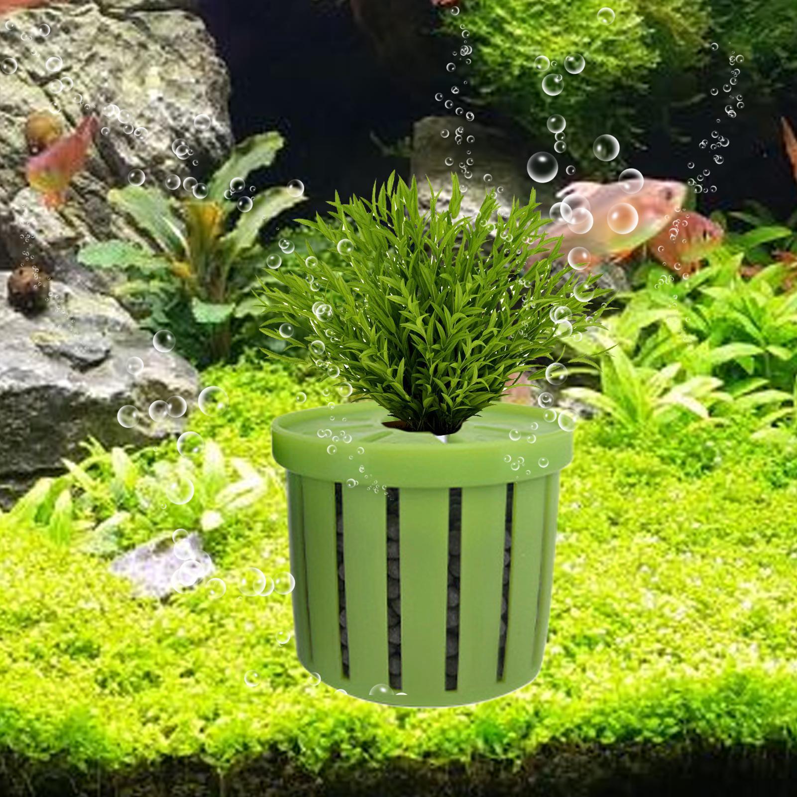 4 Pieces Aquarium Planter Pot  - Aquarium Plant Rings recension och pris