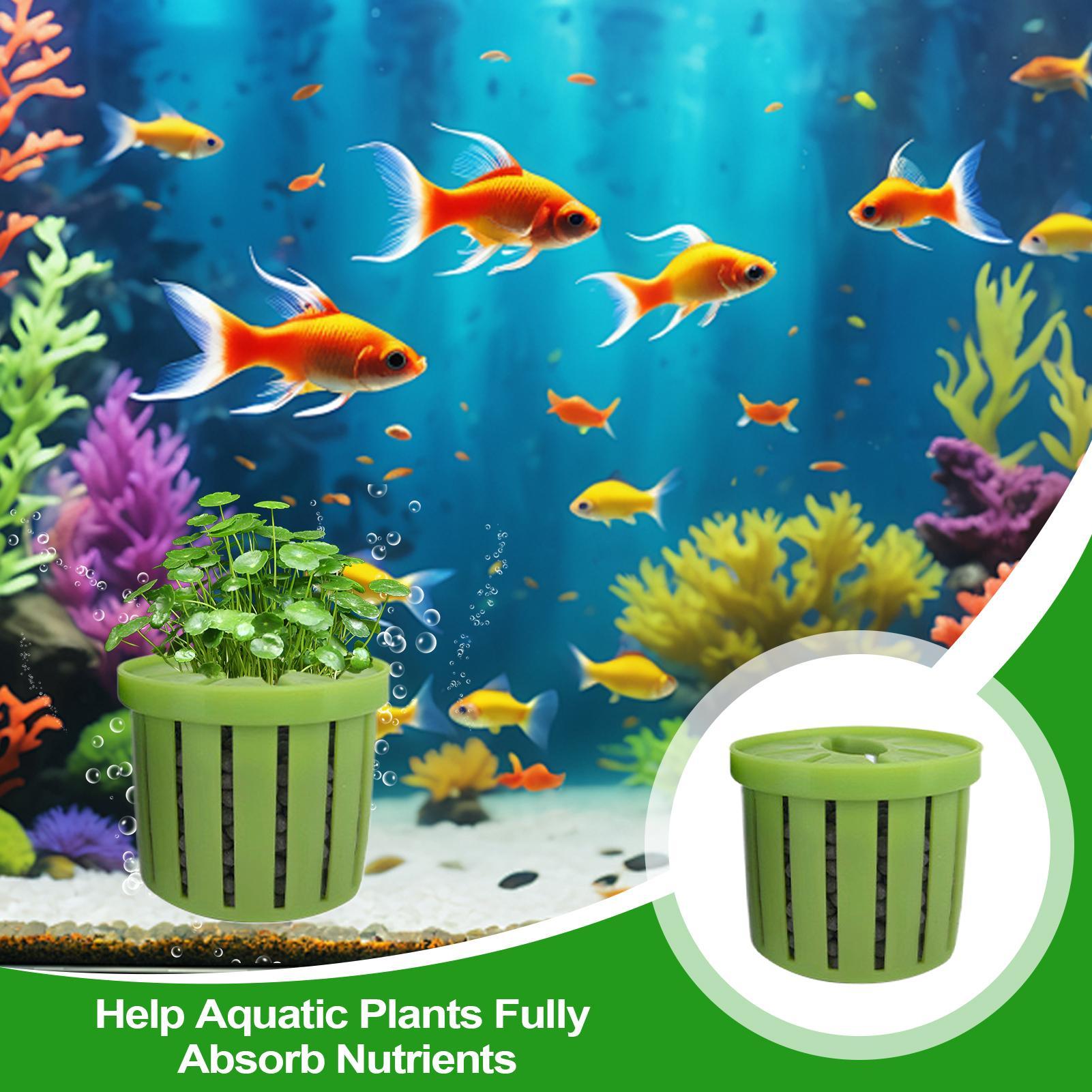 4 Pieces Aquarium Planter Pot  - Aquarium Plant Rings recension och pris