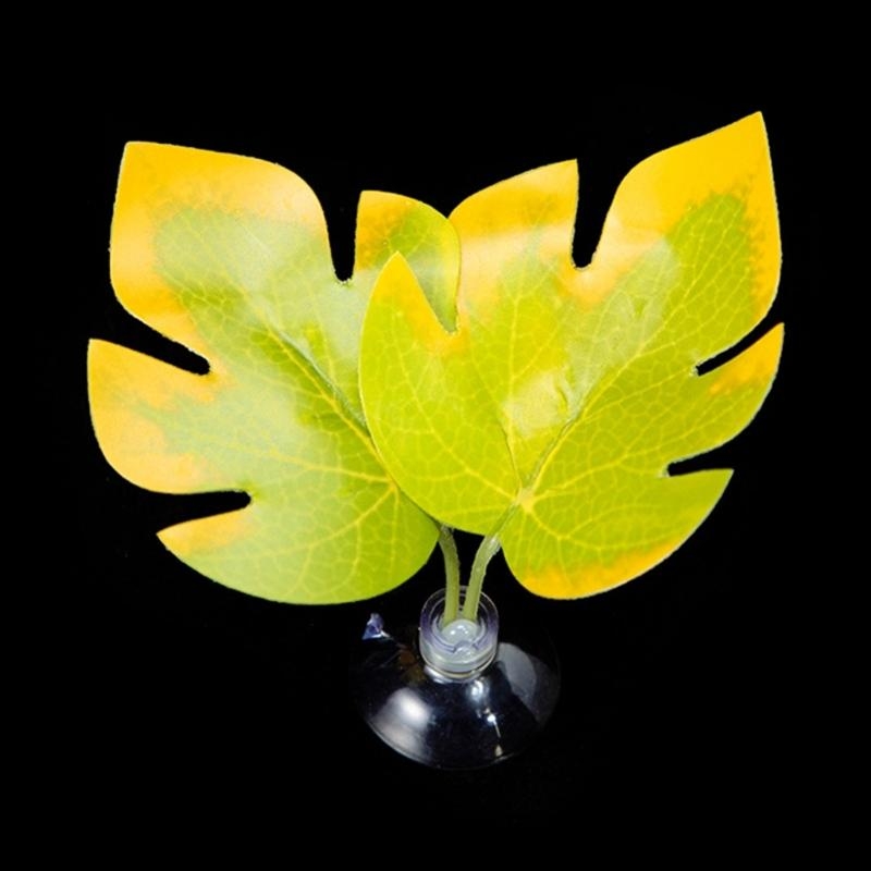 Suction Cup Pad Resting Bed fo - Planted Aquarium Betta recension och pris