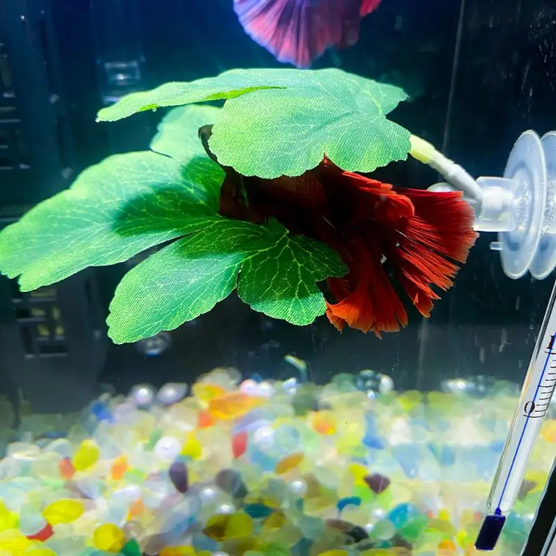 Betta Fish Leaf Hammock Aquari - Aquarium Plant Rings recension och pris