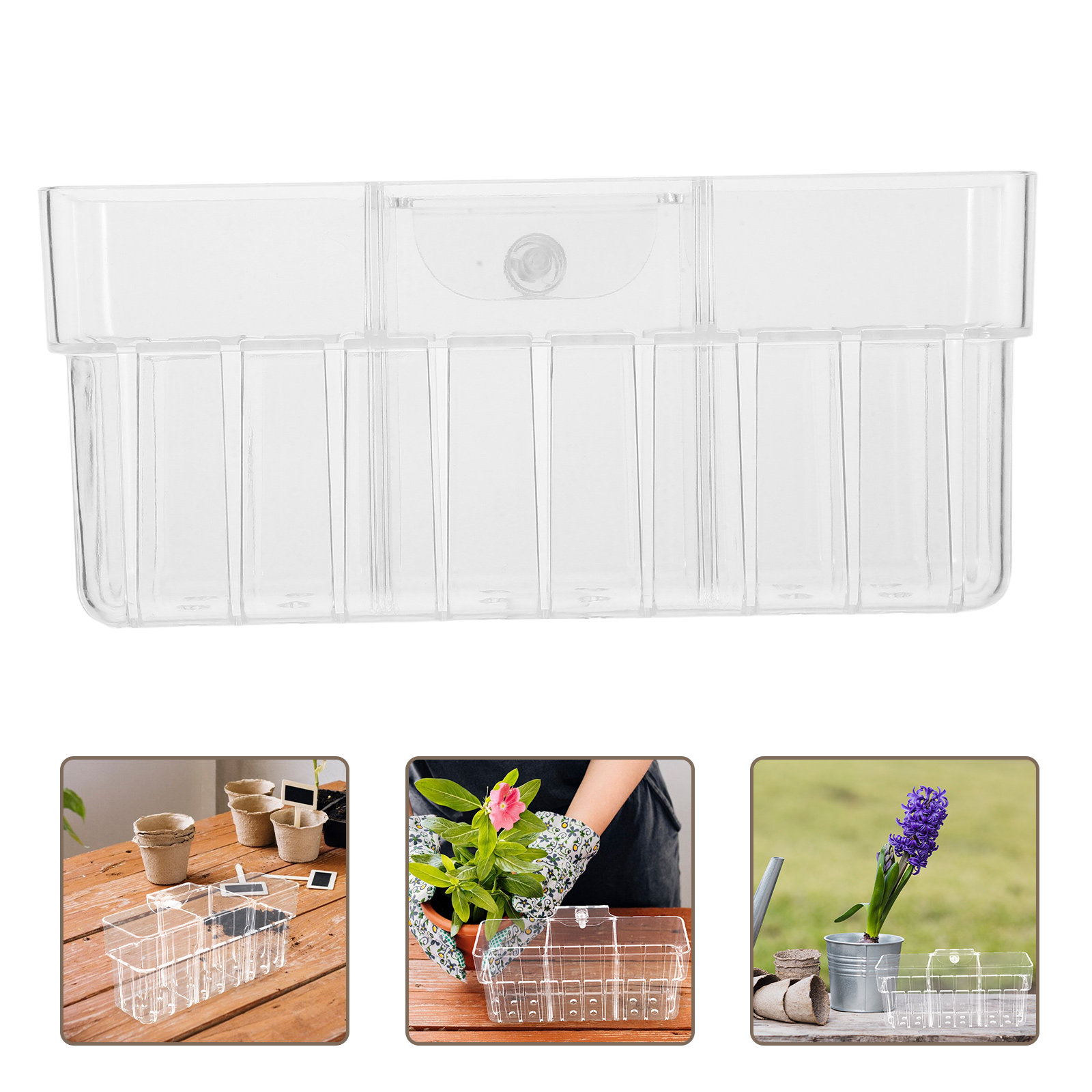 Clear Three Compartment Hydrop - Aquarium Planted Wall recension och pris