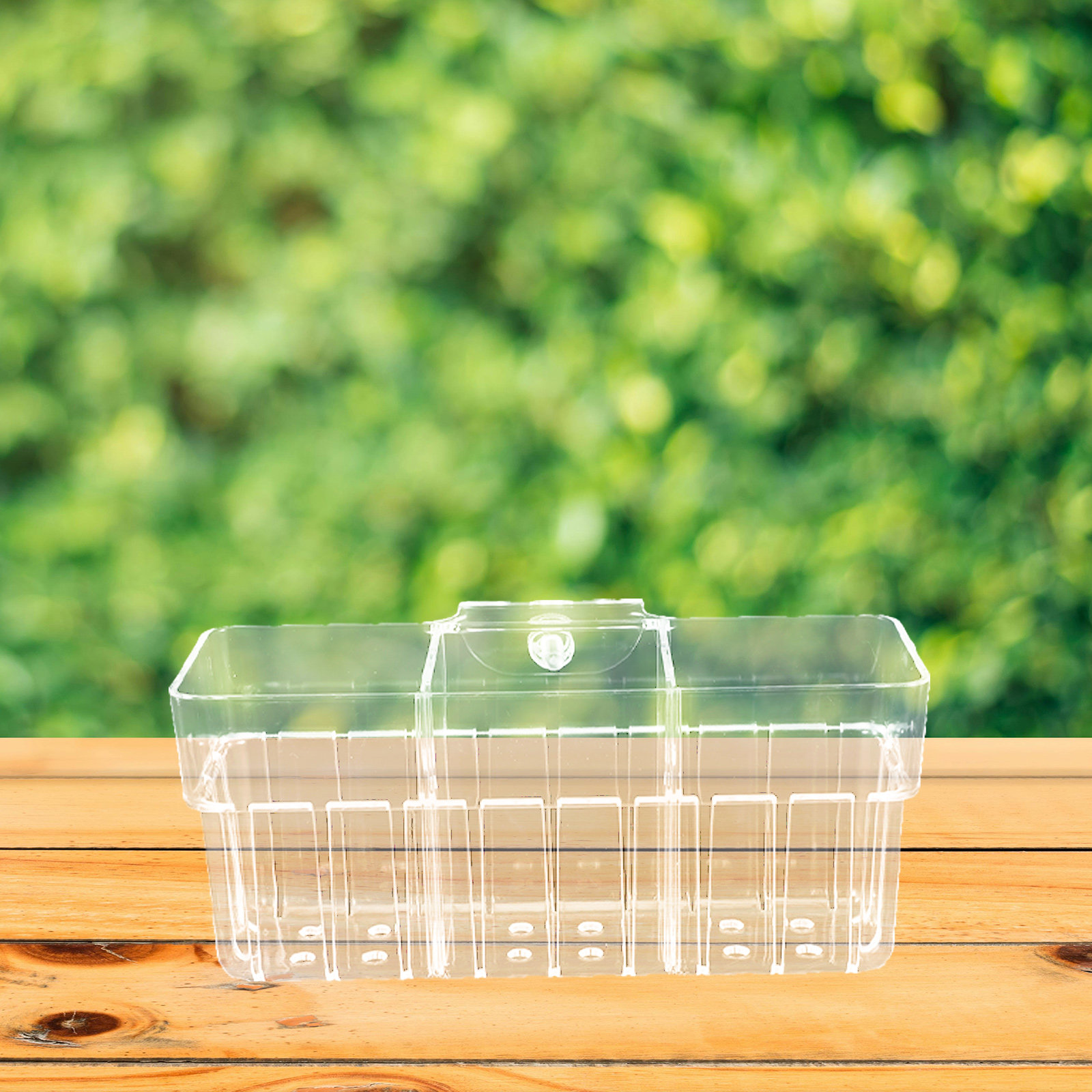 Clear Three Compartment Hydrop - Aquarium Planted Wall recension och pris