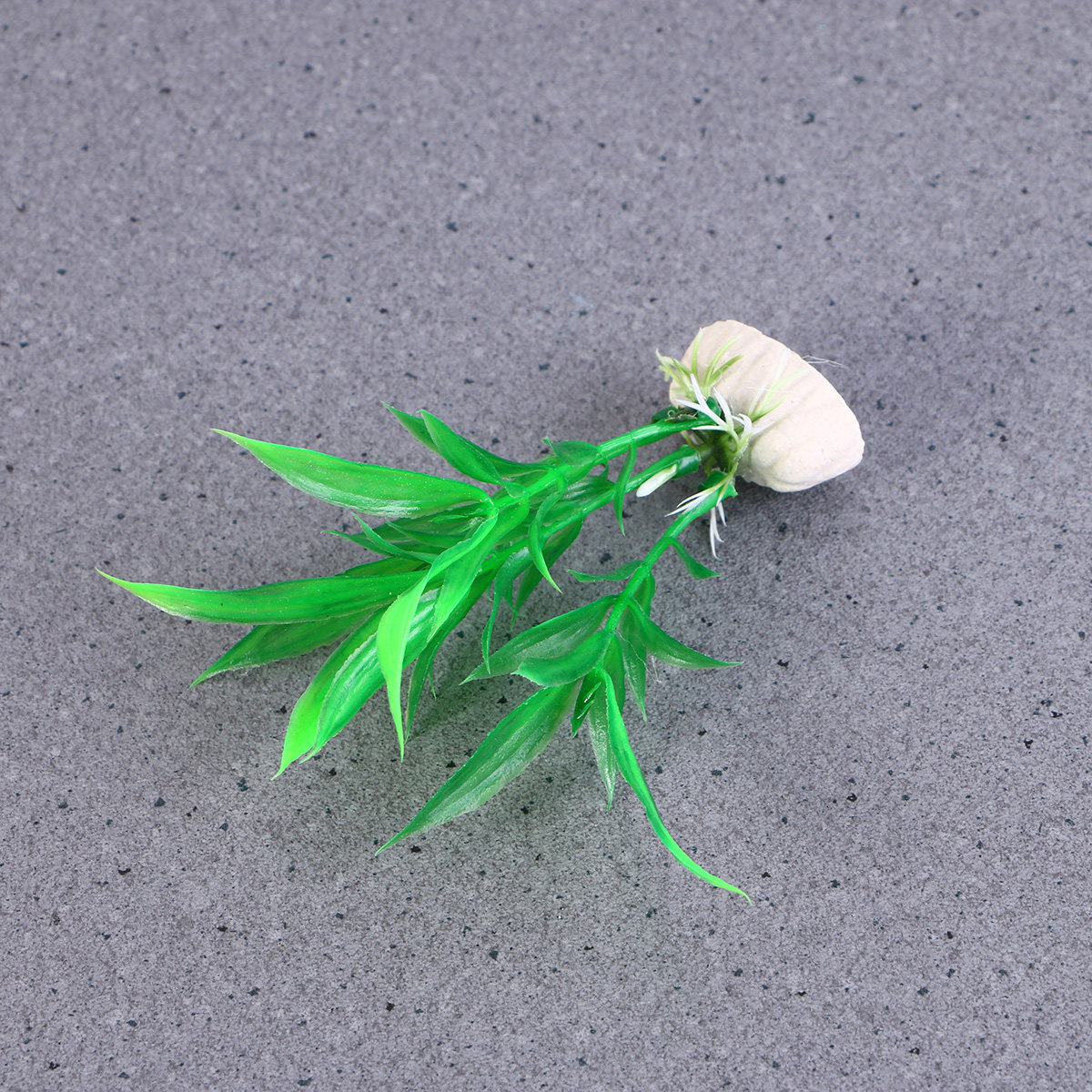 10Pcs Realistic Dracaena Sande - Non Planted Aquarium Fish recension och pris