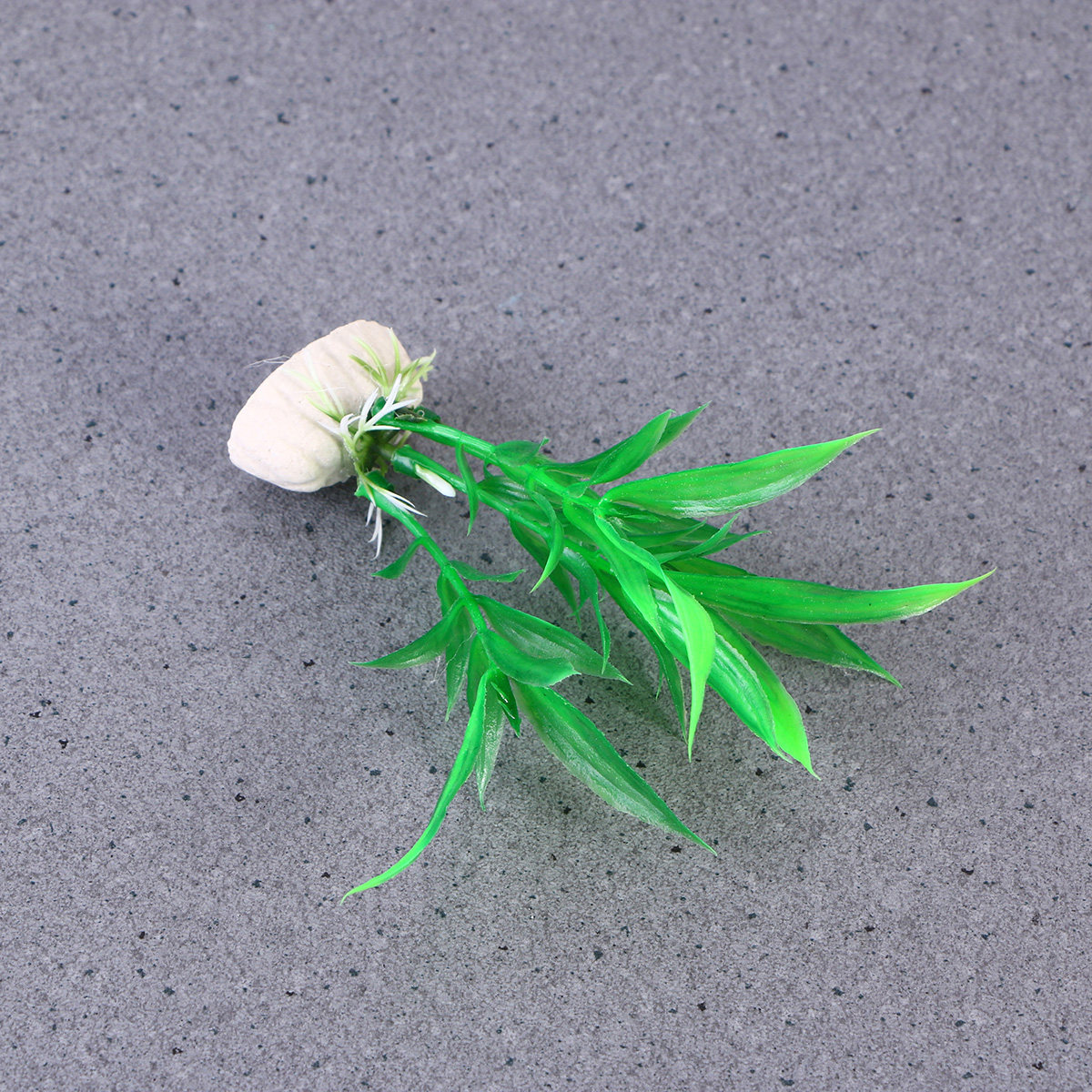 10Pcs Realistic Dracaena Sande - Non Planted Aquarium Fish recension och pris