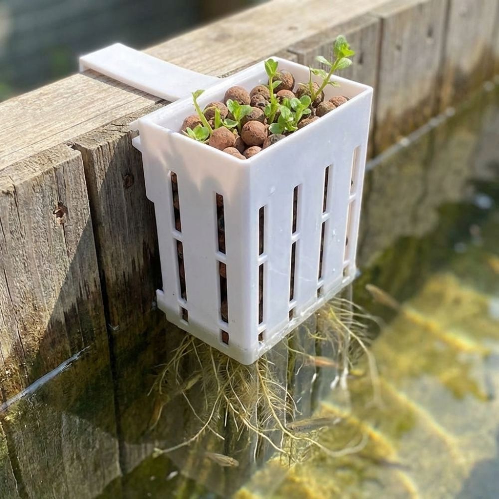 Wall-Mounted Aquarium Plant Ba - Aquarium Planted Wall recension och pris